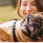 Mom doesn’t like calling pets “fur babies,” thinks it’s rude to moms.