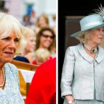 Queen Camilla was reportedly “outraged” by Prince Harry’s visit to his father