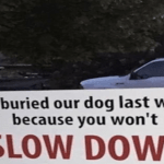 The Symbol Representing Every Pet Owner