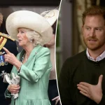 Prince Harry’s Complicated Relationship with Queen Camilla